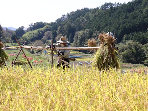 農業や仕事の体験の機会もご紹介!