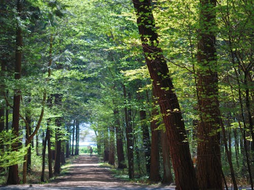 南箕輪村の信州大芝高原
