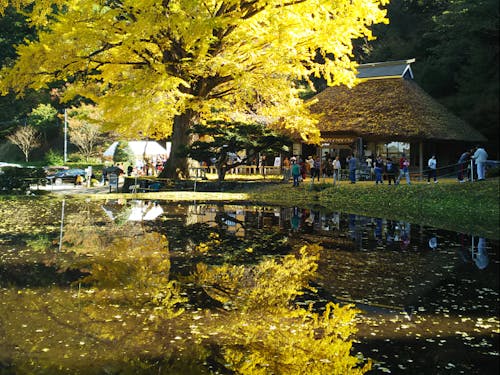 奥出雲町_金言寺