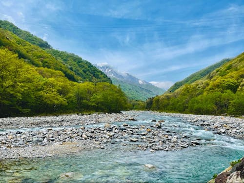 透き通った利根川の源流