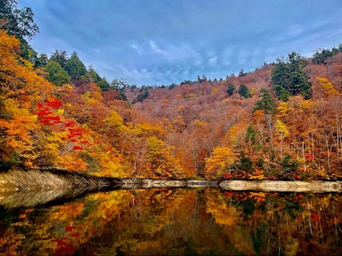 紅葉シーズンのダム湖でカヌー体験
