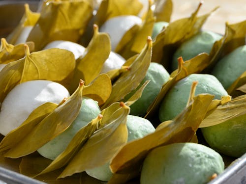 しぶかわ工房といえば、この柏餅!