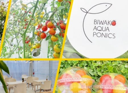 BIWAKO　AQUA　PONICSのトマトとカフェスペース