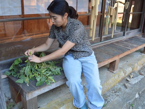 野菜の収穫をお手伝いしたり、気ままに海で遊んだりと、暮らすように旅をする中で、自分で自分の理想の暮らしを叶える人たちにたくさん出会い、強く憧れました。