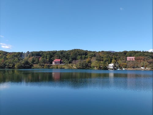 新嘗祭会場の桜が池