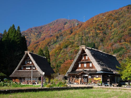 菅沼集落。背後には南砺市の米作りを支えるブナの原生林が広がる