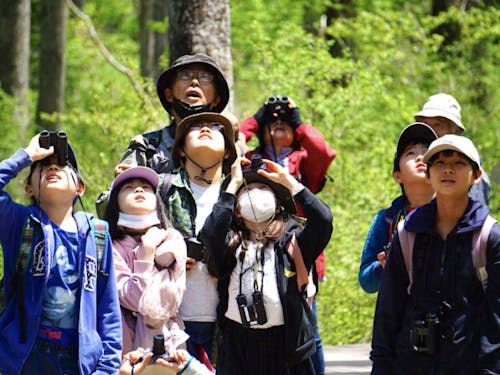 学校に近い森で野鳥観察会