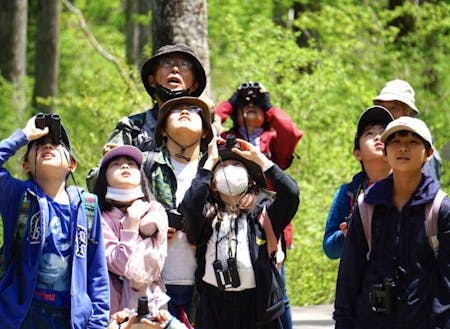 学校に近い森で野鳥観察会