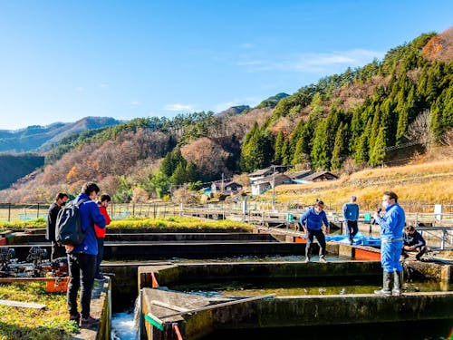 山に囲まれた養魚場