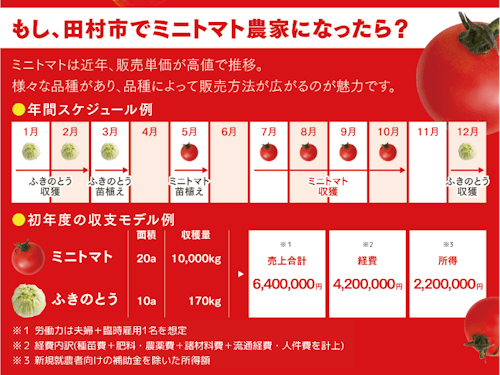 <ミニトマトでの就農モデル例>