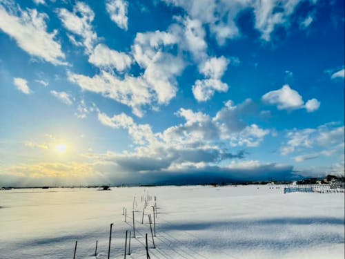 冬の澄み切った空気の中でみる朝日