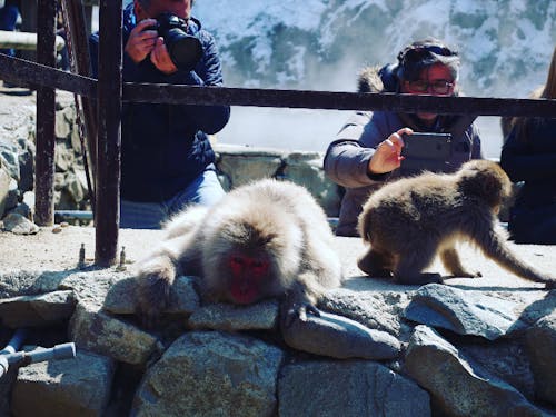 海外からのお客様もどんどん増えています