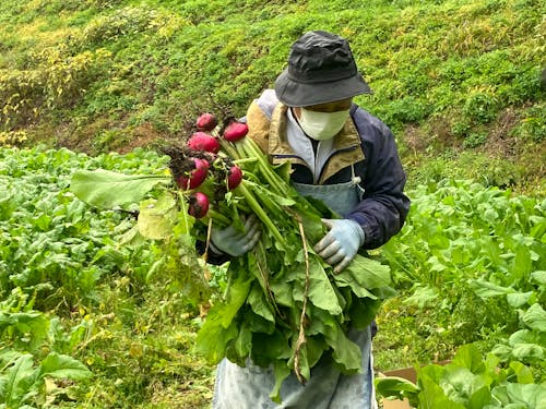 上平地域づくり協議会事務局長の田中さん