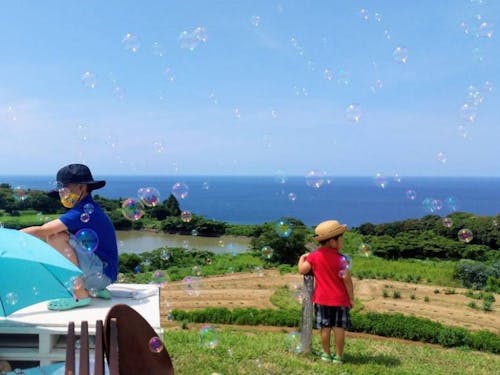 海を望むハーブガーデン「棚田の花段」