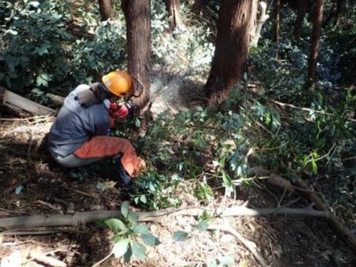 山の環境を整えて