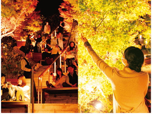 「ごろ寝BER」開催中