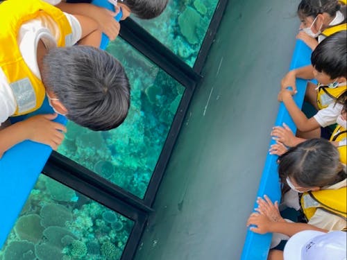 グラスボートでのサンゴ・景観学習