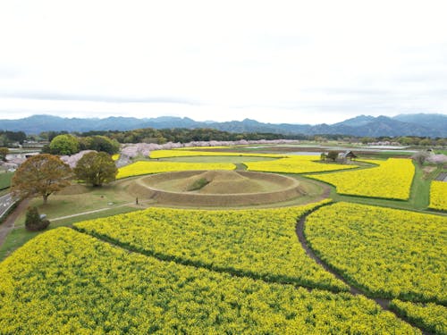 古墳群や神話といった歴史や文化、豊かな自然が感じられるまちです。