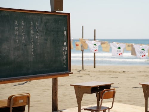 黒潮町砂浜教室