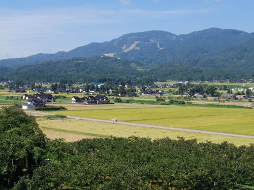 山と田園に囲まれた散居村の風景。空き家・耕作放棄地の対策が必要