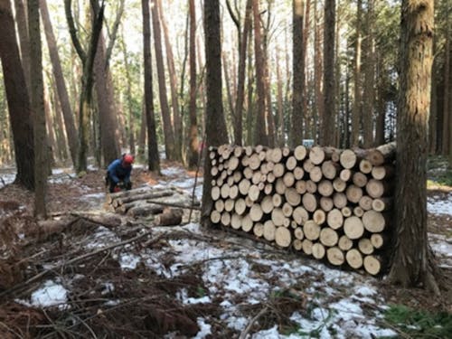 薪ストーブの暮らし、伊那市なら実現できます!