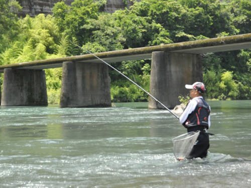 高知は鮎釣りのメッカ