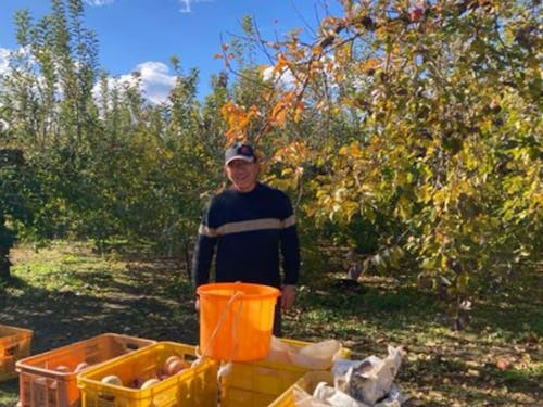 元板前!マルショウ果樹園の佐藤さん