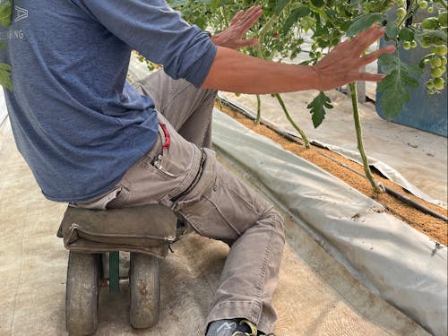 収穫時に使用する椅子