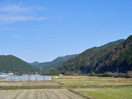 勤務地周辺の風景