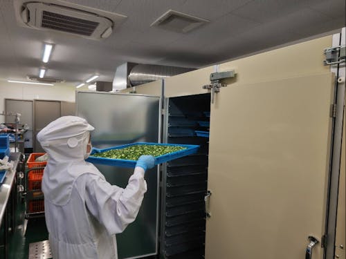 ねぎを乾燥加工する様子