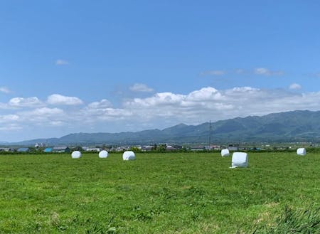 夏の奈井江町