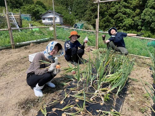 シェアハウスの畑で野菜づくり