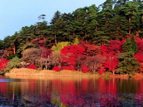 市民の憩いの場所、南湖公園。