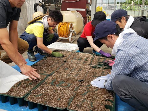 夏頃ご参加された参加者の様子。一生懸命作業してくれました!