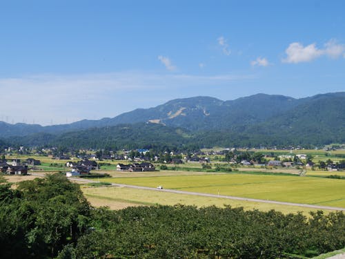 福光地域の散居村の景色
