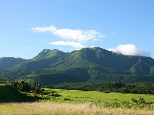 広大な緑のパノラマが眼前に広がる久住高原