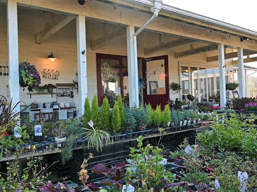 「風の丘ガーデン」ではカルチャー教室やランチも楽しめる。