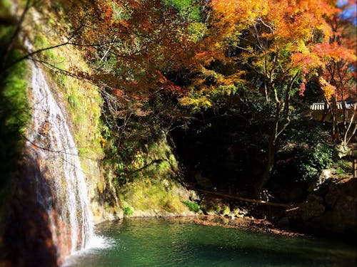 自然豊かな中山間地域の加茂谷