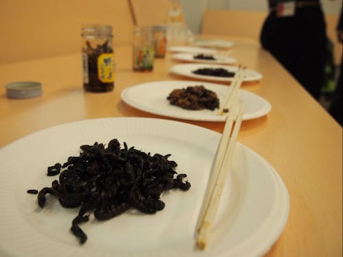 伊那市の驚きのおつまみ!乞うご期待!!