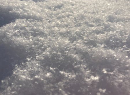太陽光でキラキラ輝く雪の結晶はつい見惚れてしまう