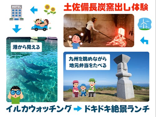 なんと!徒歩で港まで行くと親子イルカに会える!(ほぼ毎日)!