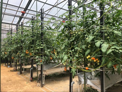 研修ハウスの様子