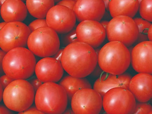 食の魅力(徳谷トマト)