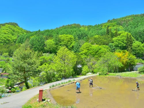 里山ならではの美しい風景が広がる地域