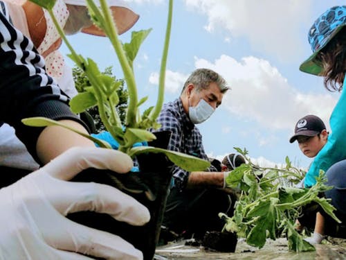 農業体験プログラムの様子