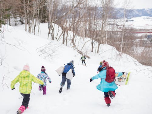 春の山は森をどこまでも歩いて行けます。