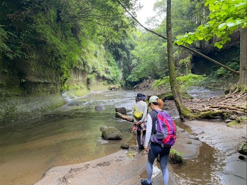 こんな隠れた秘境もあります。