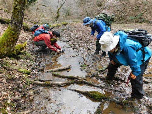 山内における希少種の生息状況調査