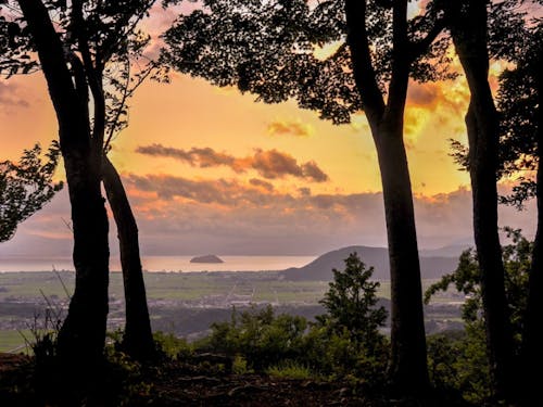 小谷山から臨む竹生島(photo byKAWASE)