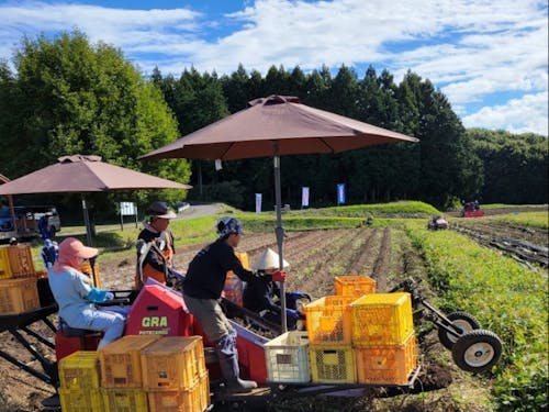 農業法人における農作業への参加